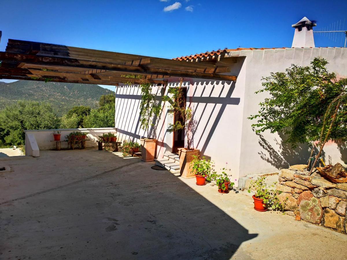 Villa Sa Pruna Oliena Ngoại thất bức ảnh