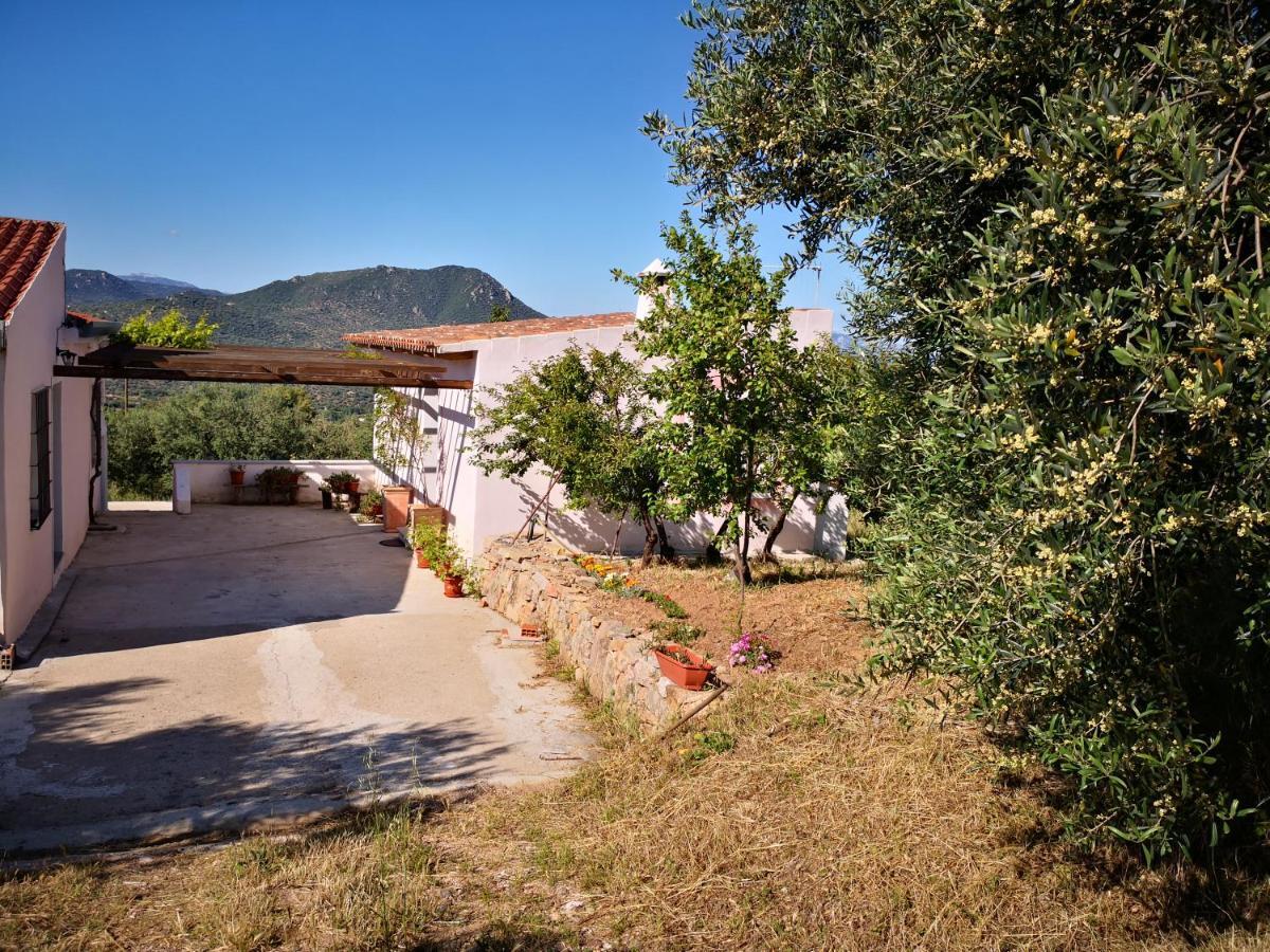 Villa Sa Pruna Oliena Ngoại thất bức ảnh