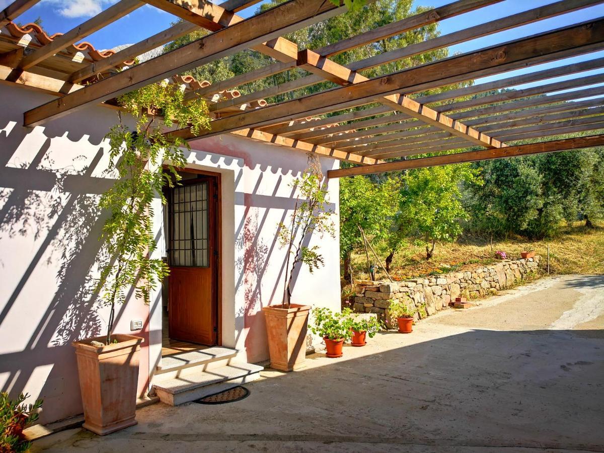 Villa Sa Pruna Oliena Ngoại thất bức ảnh