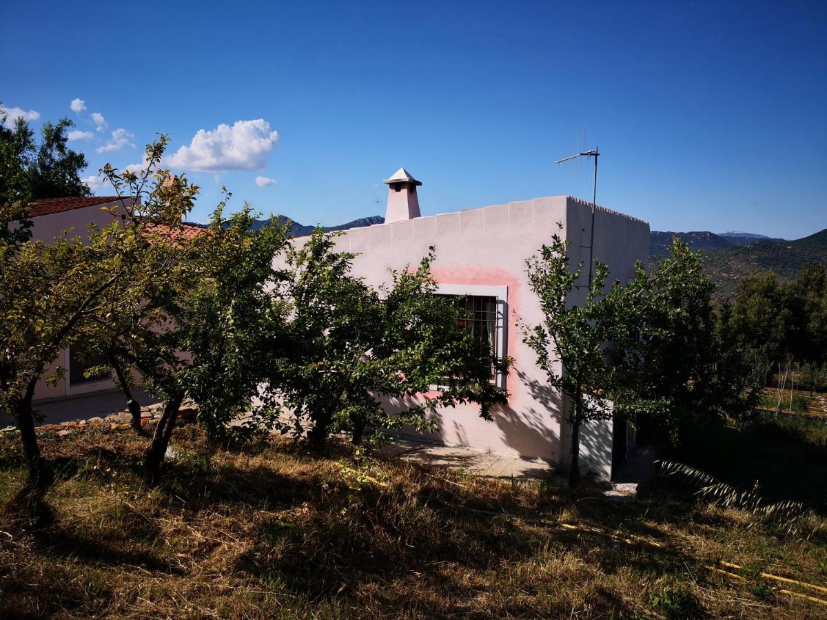 Villa Sa Pruna Oliena Ngoại thất bức ảnh